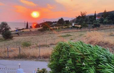 Haus Regina - Foto 15