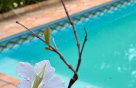 Chácara Pedaço de Sonho Atibaia - Foto 23