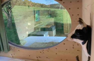 Garnecker Galloways - Foto 24