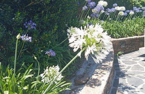 Canastro Country House - Foto 46