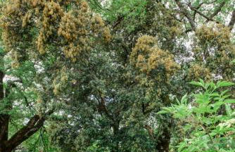 Casas Rurales Molinias - Photo 72