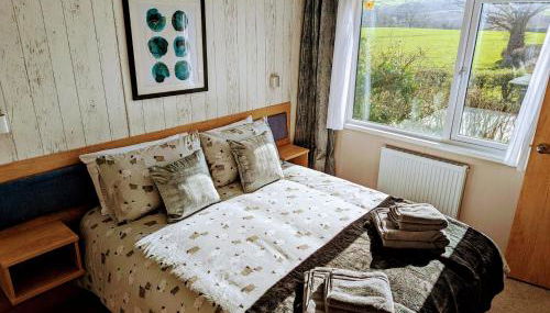 Sarn Y Glyn in Mid Wales Cambrian Mountains near Llanidloes Powys - Foto 2