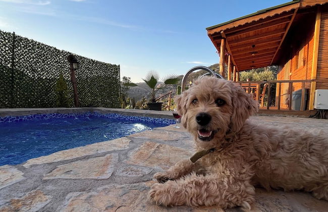 Afera Koy Evi - Foto 28