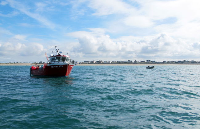 La peite maison - Foto 20