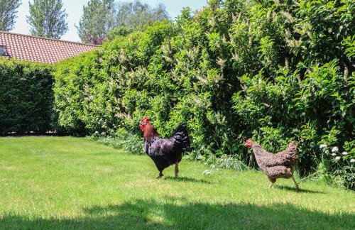 Low Grounds Cottage - Photo 28