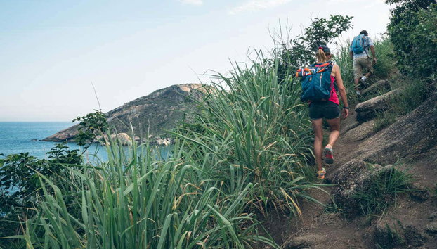 Trilha pela Pedra do Telégrafo - Foto 4, Trilha até a Pedra do Telégrafo