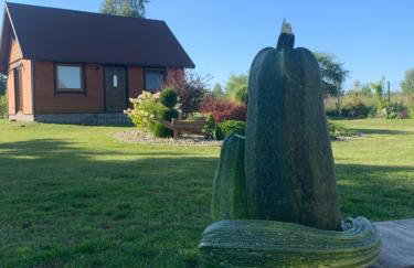 Domek wypoczynkowy Letnisko Sosenkowo - Foto 51