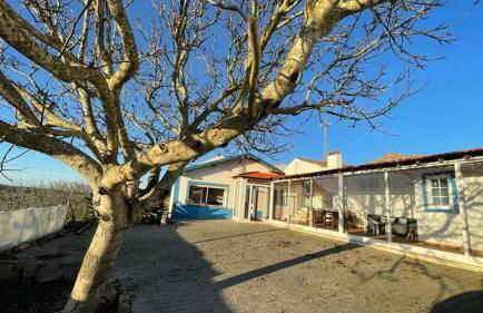 The Sunset Spot - Foto 2