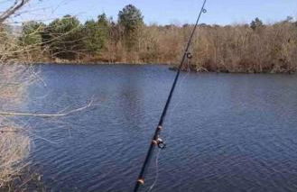 Little Piece of the Farm - Foto 16