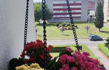 Le FrancoThai Metz - Photo 13