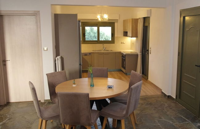 Terra Divina - Foto 39