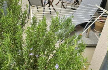 FeWo Lüneburger Heide - Krümel - Foto 21