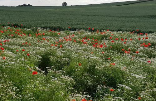 Ferienwohnung in Ostseenähe - Foto 24