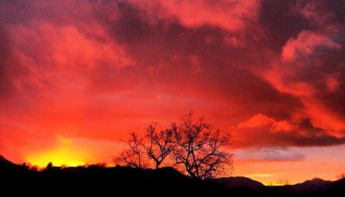 Agriturismo Terra Verde - Foto 5