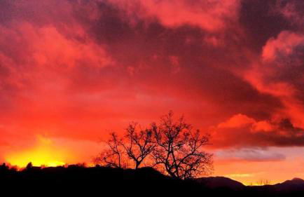 Agriturismo Terra Verde - Foto 5