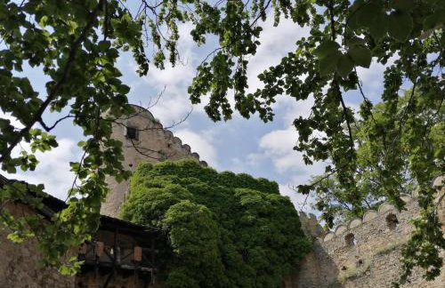 Apartament Zielone Wzgórze 2 - Foto 65