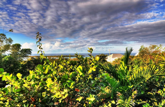 Villa Allamanda - Foto 69