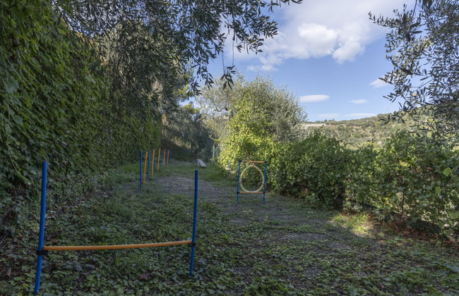 2 bedroom House in Cipressa with private pool and garden - Photo 28