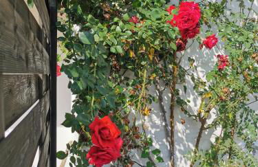 Sonnenoase Lindenberg - Foto 3