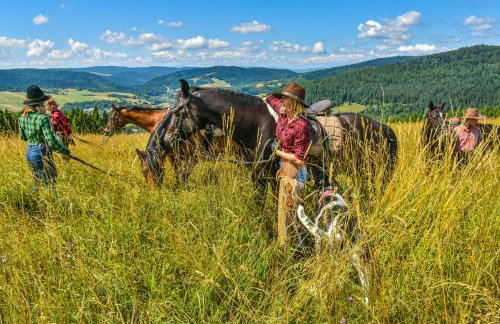 Farma Lama Dom Gościnny - Foto 34