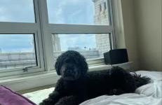 Stay Like A Boss- Penthouse-Views- Convention Center- Free Parking - Foto 48