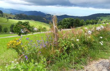View House, Schauinsland, Black Forest - Photo 8