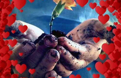 Casa Di Caro - Foto 40