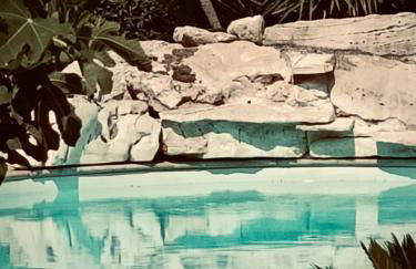 L'antica quercia - Foto 20