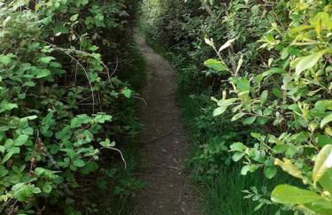 Entire house near beaches, footpaths, dog friendly - Foto 24