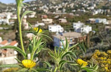 Giannis Gerakios apartments by climbing house - Photo 62