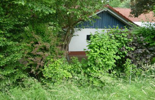 Landleben - Ferienhaus 1 - Foto 19