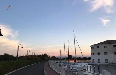 Tartaruga House - Foto 31