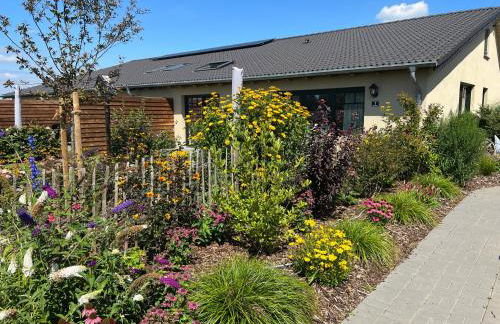 Königsgut Emmericher Eyland - Foto 1