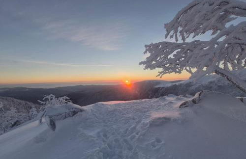 Gîte Le Hangar 67 à Saulxures-sur-Moselotte - Location atypique proche lac - Foto 24