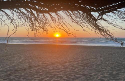 Apartament La Mata - Photo 35