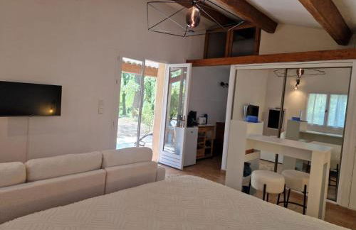 logement entier en pleine nature avec jardin terrasse tennis pétanque piscine - Foto 37