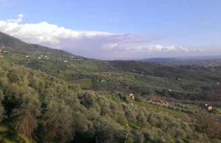 Fattoria Michela - Photo 20