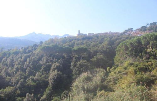 Villa Shanti Yoga & Meditation - Foto 22