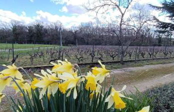 Pleine nature, 10 min zoo Beauval Mareuil sur cher - Foto 9