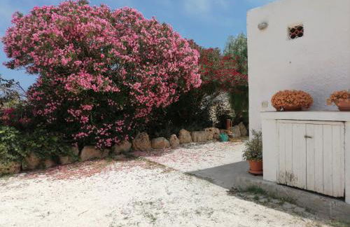 VillA LA PinetA - Foto 47