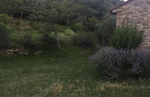 Villino I Balzi - Foto 24