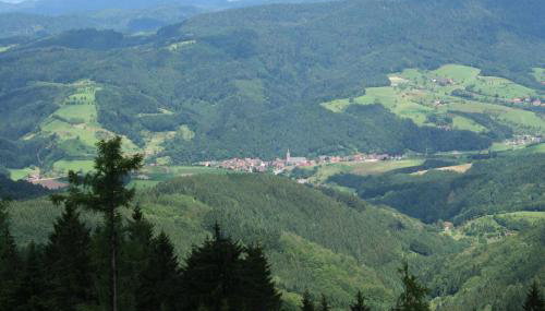 Ferienwohnungen Golla-lang - Foto 2