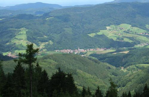 Ferienwohnungen Golla-lang - Foto 21