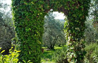 Agriturismo Podere Zollaio - Foto 12