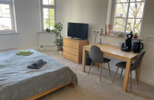 Wohnen in der alten Max Selbmann Villa - Foto 5