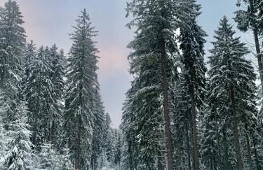 Ferienwohnung im Zentrum von Sonneberg - Photo 13