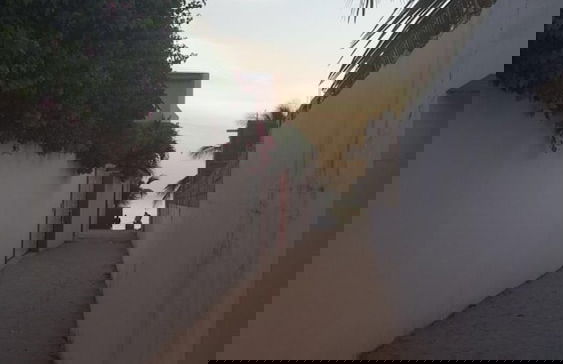 La bougain Villa - Photo 29