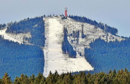 HIRSCH Hänsel Ferienhaus Garten mit Bergblick - Grill -Wald - Foto 46