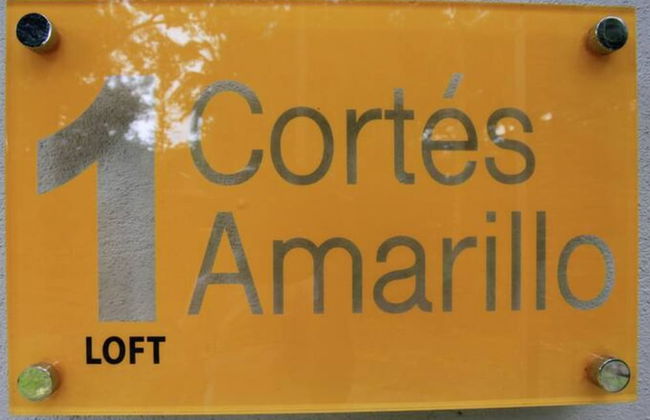 Relaxing Sound of River Birds Squirrels - Foto 32