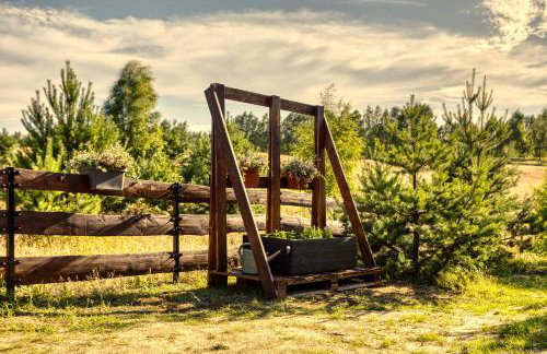 Bory Za Płotem - Foto 25